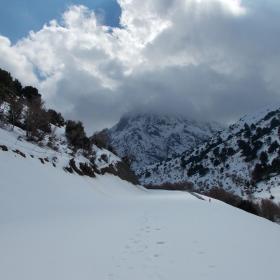 Φωτογραφικό οδοιπορικό δασικών υπαλλήλων στο Φαράγγι της Σαμαριάς (4-6/3/2019)