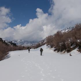 Φωτογραφικό οδοιπορικό δασικών υπαλλήλων στο Φαράγγι της Σαμαριάς (4-6/3/2019)