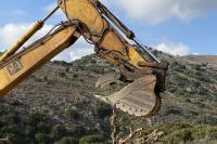 The selected olive trees instated at their temporary position within the construction site.