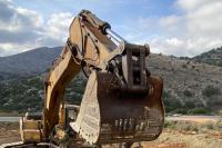 All the transplanted olive trees received the appropriate care and treatment, resulting in no tree loss.