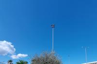 The monumental olive tree transplanted from Kasteli Pediada to the "Nikos Kazantzakis" airport of Heraklion.