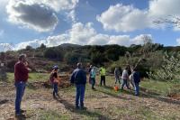 Η Ομάδα Διαχείρισης Έργου επιβλέπει τις απαραίτητες προπαρασκευαστικές εργασίες για τη μεταφύτευση των δέντρων.