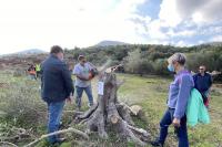 Ο γεωπόνος κ. Μιχ. Παπαηλιάκης καθοδήγησε τις εργασίες της ΟΔΕ για την προετοιμασία και μεταφύτευση των ελαιόδεντρων.