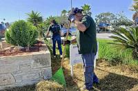 54. Green works crew performs maintenance work on the outdoor area of the olive tree at the N.Kazantzakis airport.