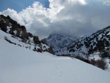 Φωτογραφικό οδοιπορικό δασικών υπαλλήλων στο Φαράγγι της Σαμαριάς (4-6/3/2019)