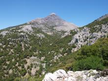 Δελτίο τύπου 14.08.2020