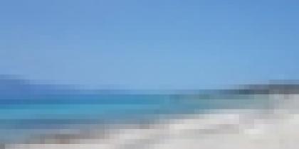 Σχέδιο Δράσης της Νήσου Χρυσή